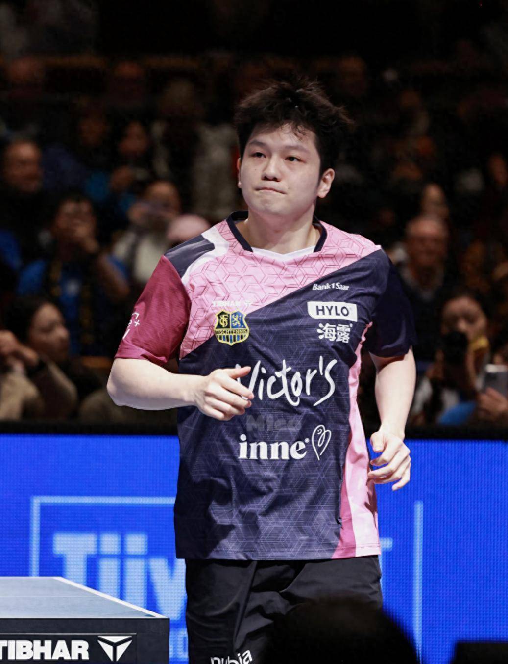 关于葡萄牙队横扫波兰队，樊振东状态火热的信息