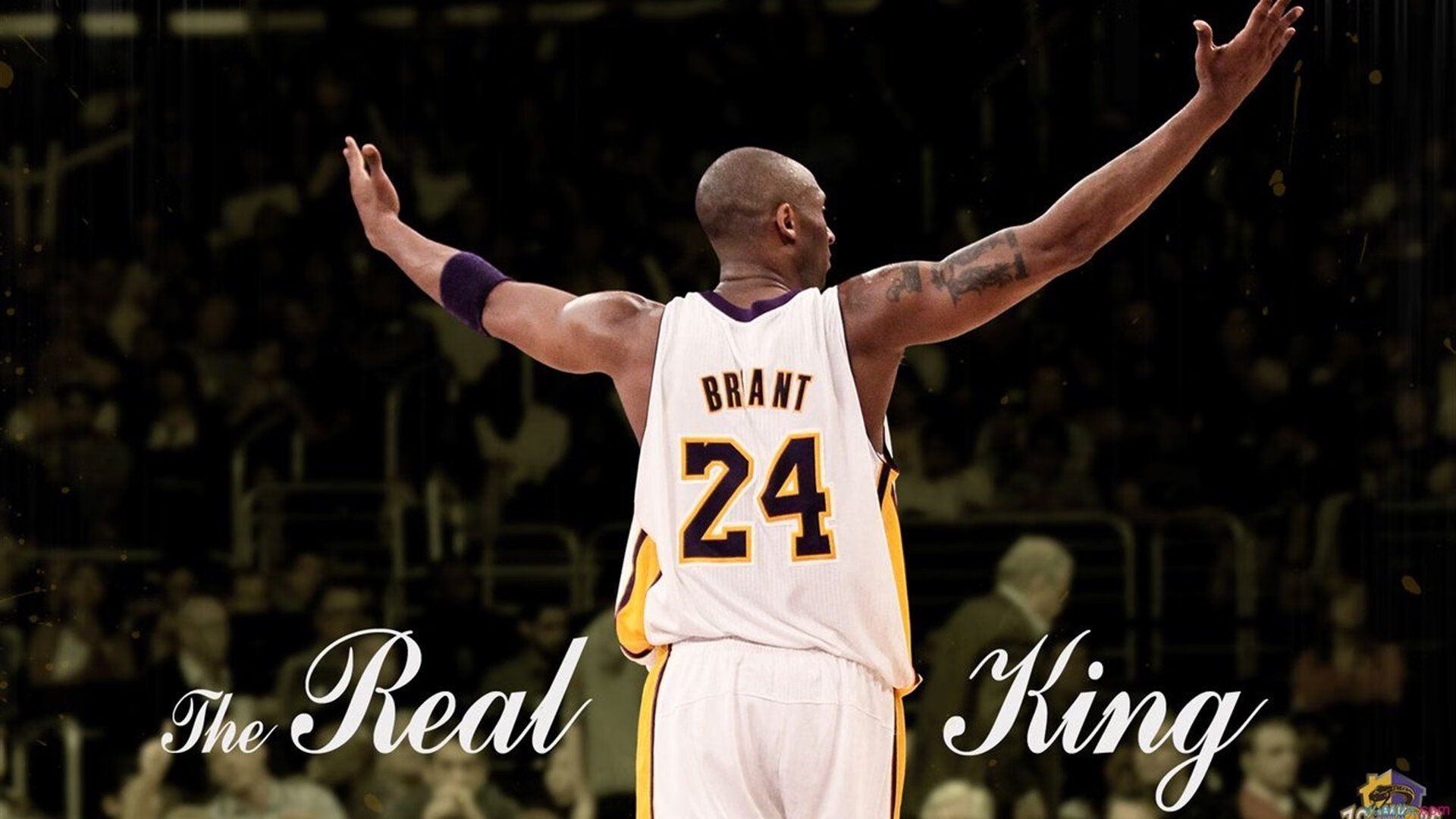 开云体育官方网站-赛道上的菲尼克斯，当阿布扎比与菲尼克斯同时屏住呼吸